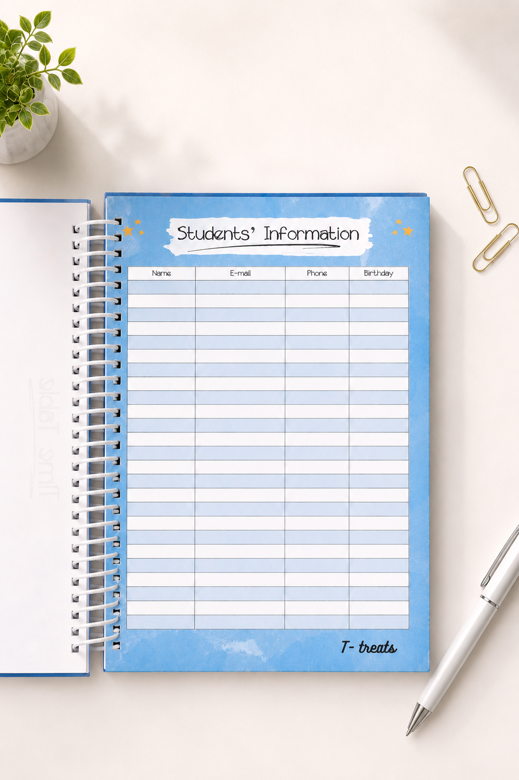Sky Teacher Planner